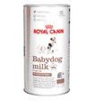 Babydog Milk